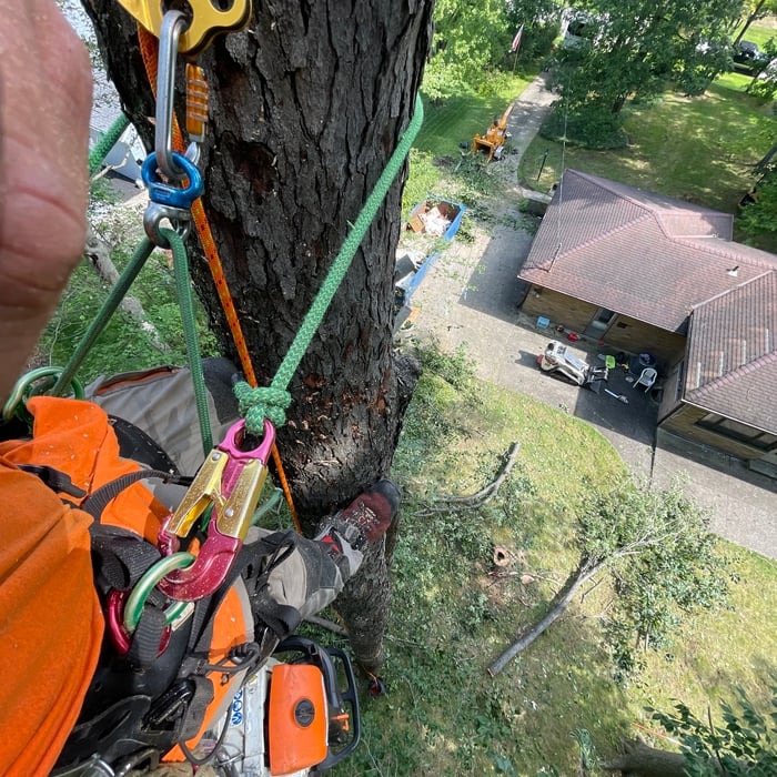 Rigging