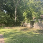 Brush and Overgrowth Removal