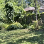 Overgrown Areas