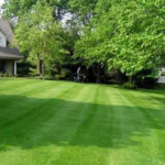 Mowing