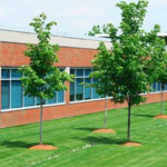 Commerical Maintaining