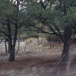 Start of fence