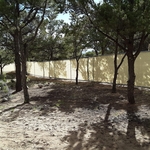 Fence with privacy net
