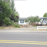Trees are gone