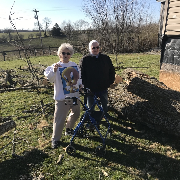 Tree removal