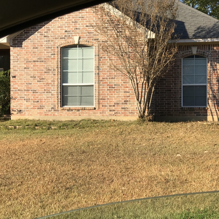 Cope Residence