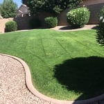 Back yard
