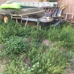Weed Removal