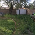 Weed Removal
