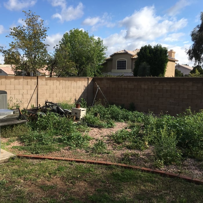 Weed Removal