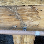 Termite Tubes