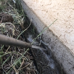 Soil Treatment