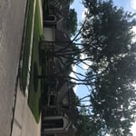 Katy Home Full Tree Service