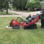 Stump Grinding