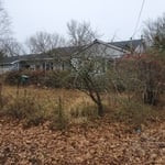 Before Front yard