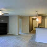 accent wall