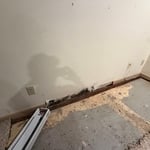 Water damage/mold
