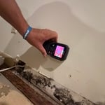 Water damage/mold