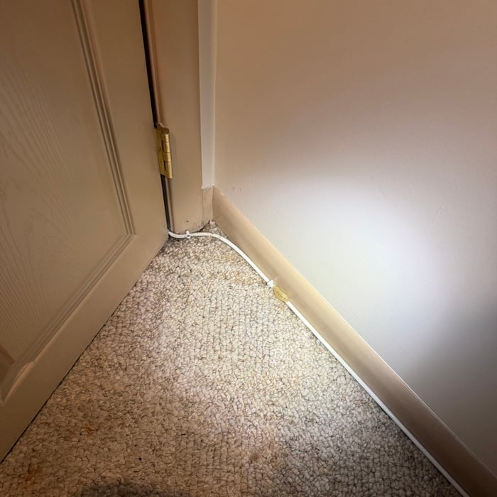 Water damage/mold