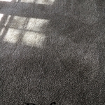 Carpet Cleaning