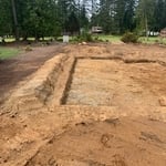 dig out