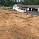 dig out