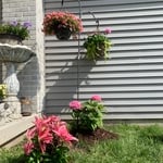 Planting trees and bushes
