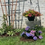 Planting trees and bushes