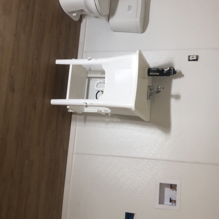 Toilet and sink