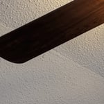 Ceiling fan after