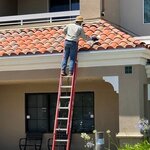 Yellow Jacket Nest Eradication