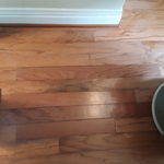 Our Work