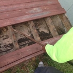 Stamped Concrete