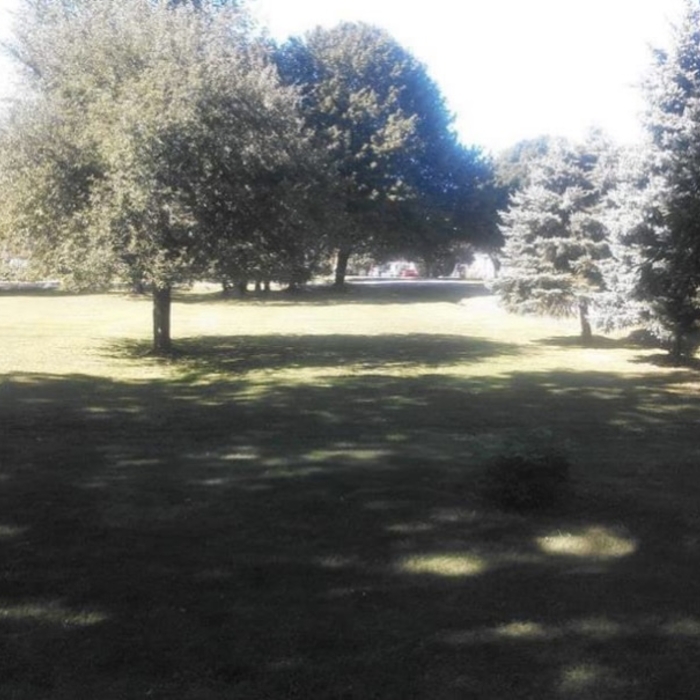 Lawn 4