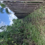 Cleanup