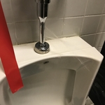 Fixed Urinal