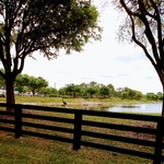 Board Fence