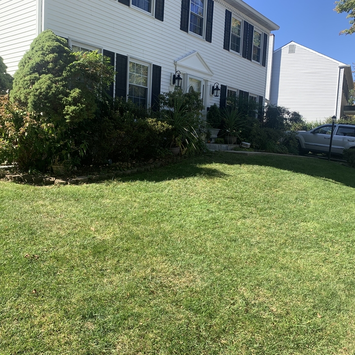 Leaf Removal Services