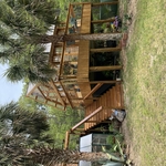 The Green House