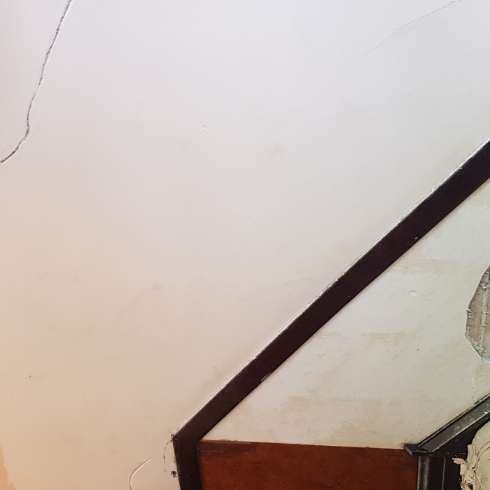 Repair of Plaster