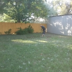 Trimming Trees and Removing Bushes