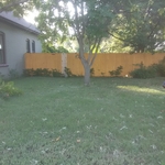 Trimming Trees and Removing Bushes