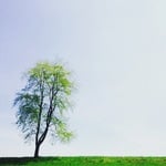 I may even be a Photographer