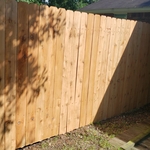 Cedar Fence