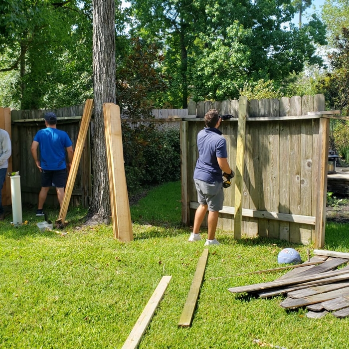 Cedar Fence