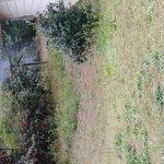 Before Clean up