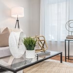 Vacant Home Staging