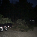 Tree waste