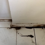 Inspection 1