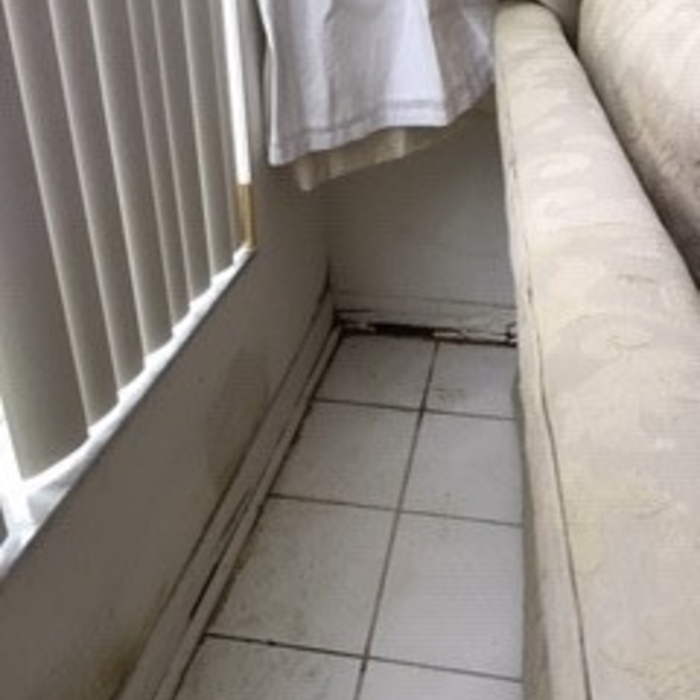 Inspection 2